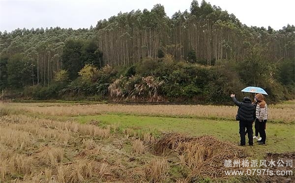 东丽区陈老师带着爱徒寻龙点穴